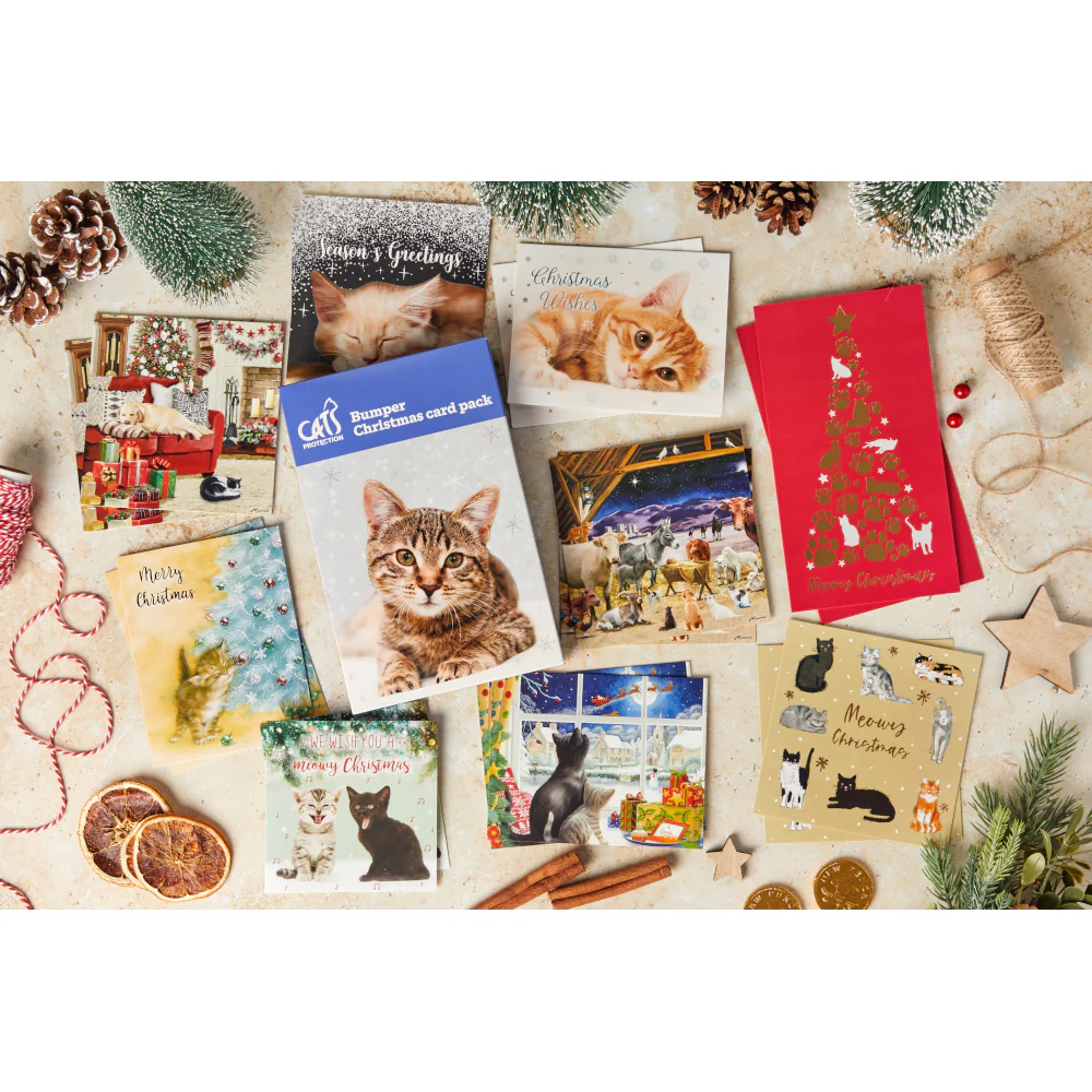Cats Protection Gifts